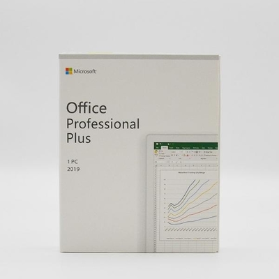 High Speed Version Microsoft Office 2019 Professional Plus DVD Retail Box